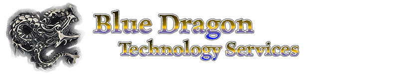 Blue Dragon Technology Services